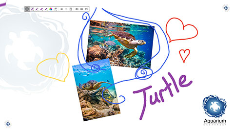 interactive-digital-signage-software-aquarium-zoo-app-whiteboard.jpg